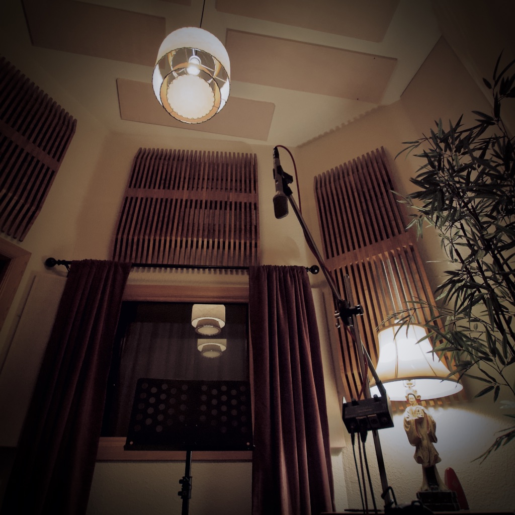 Recording booth with acoustic panels, microphone, and music stand.