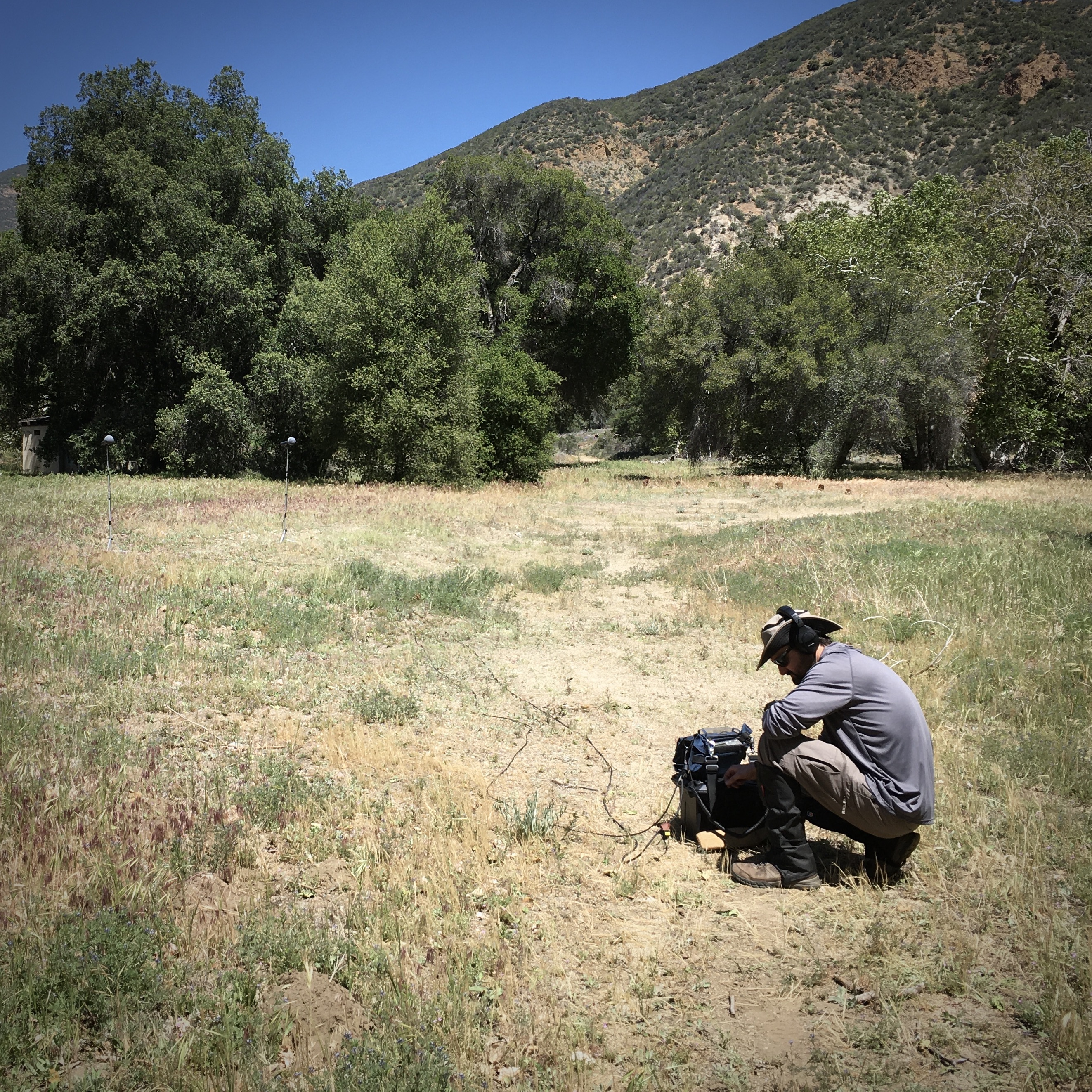 Sound recordist operating device in an open oak woodland field.